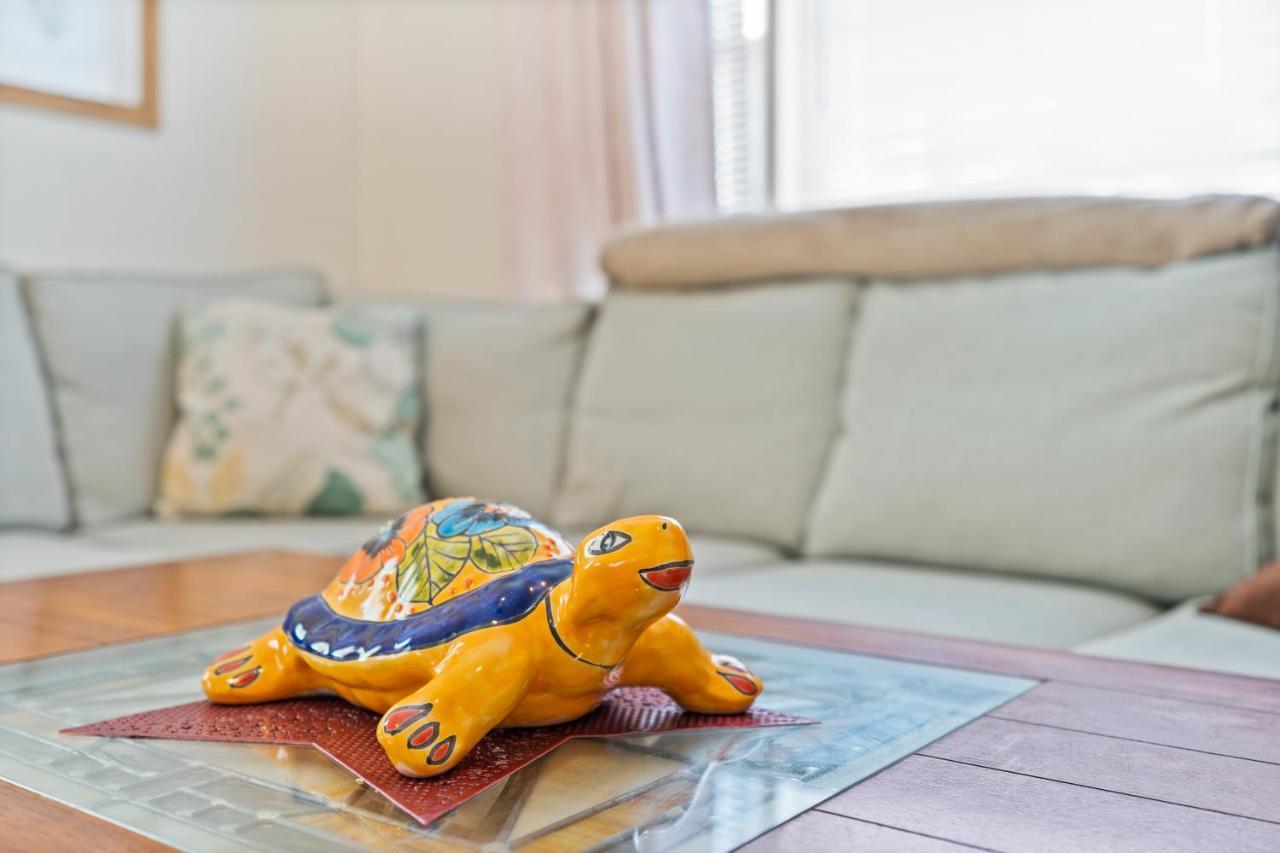 Turtle Shack - Ocean Isle Beach -Whole Beach House Eksteriør billede